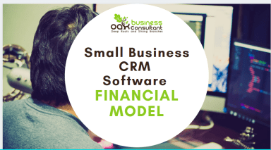 Startup SaaS Small Business CRM Software - Financial Model