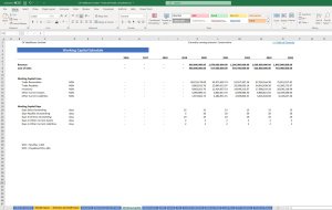 Financial Modelling, Financial Planning and DCF Valuation
