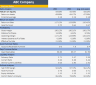 Customer Sucess Software Financial Model