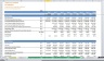 Discounted Cash Flow (DCF) Valuation Model with 3 Years Actual and 5 Years forecast- Telecom