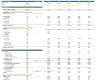 Financial Projection Three Statements Model - IB & PE Standards