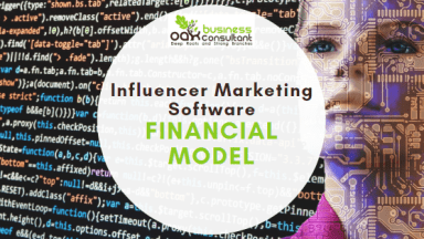 Influencer Marketing Software - Financial Model