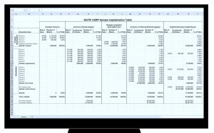Sample Cap Table (Pro-forma)