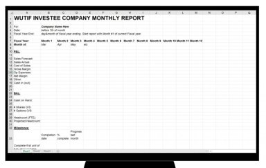 Sample Investor Monthly Report Template