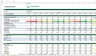 The Early Stage Business Plan template for Disruptive e-Commerces