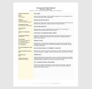 Startup Executive Summary Template