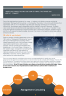 Management Consulting - Changing Paradigm. A Thought Leadership Paper by Fin-Wiser Advisory. - Page 2
