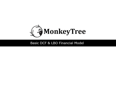 DCF & LBO Financial Model (Basic) - EXCEL
