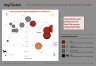 BCG Matrix (Growth-share) Actors/Competitors Market Mapping - PowerPoint Template
