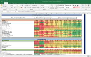 Britannia Shares Fundamental Analysis and Financial Ratios