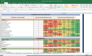 Endurance Technologies Shares Fundamental Analysis and Financial Ratios
