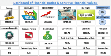 Financial Ratios for Startups & SMEs (Excel)