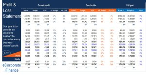 Profit & Loss Statement Actual vs Budget & Previous Year