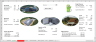 Financial Model for Ports with Alternative Scenarios for Biogas Project for Scenario and Sensitivity Analysis