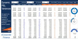 Dynamic Profit and Loss Comparison