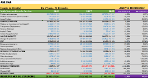 Complete Financial 3 Year Analysis - Agency For the safety of air navigation in Africa and Madagascar (ASECNA)