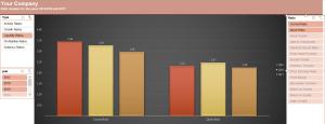 Financial Ratios Analysis Excel Dashboard