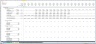 Detailed Hotel Project Valuation- Construction and Operation Phase with NPV & IRR calculations