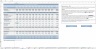 Professional Services Budget Excel Template Demo