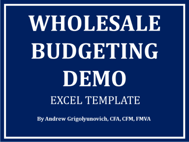 Wholesale Budgeting Excel Template Demo