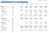 SaaS Company Financial Modeling and DCF Valuation Template