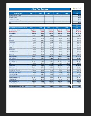 5-Year Store Opening Plan Summary Excel Model