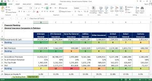 Insurance Panel - Financial Model