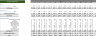 Auto Repair Financial Model