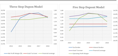 Dupont 5 Steps Excel Model
