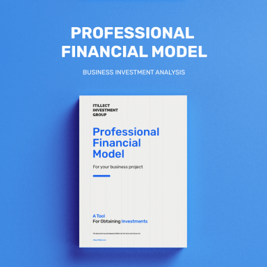 Professional Financial Model in Excel