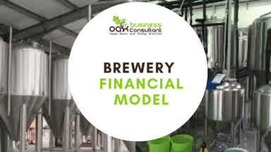 Brewery Financial Model