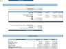 Digital Medical Assistant Financial Model