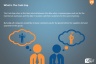 Cash-Flow Guide and PPT Template