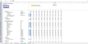 Marketplace Financial Excel Model