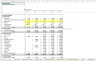 Analytics Software Platform Pro Forma Excel Model