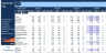 Segmental P&L (Profit & Loss)