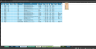 Sausage Casings'  Transactions Spreadsheet