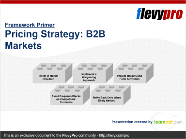 Pricing Strategy: B2B Markets