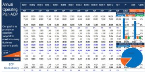 Annual Operating Plan- AOP for Service Industry