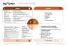 PEST & PESTLE Analysis PowerPoint Template