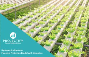 Hydroponics Startup/Existing Business Financial Projection 3 Statement Model