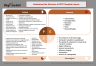 PEST & PESTLE Analysis PowerPoint Template