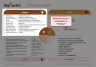 PEST & PESTLE Analysis PowerPoint Template