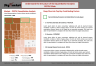 PEST & PESTLE Analysis PowerPoint Template