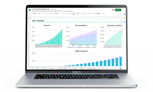 SaaS Financial Model (Premium Version) + 1 Hour Video