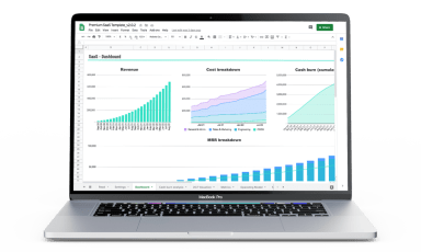 SaaS Financial Model (Premium Version) + 1 Hour Video