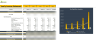 Consultant Agency Excel Financial Model
