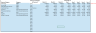 Gym (membership based) Financial Projection Template