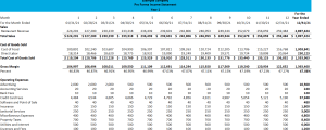 Professional Services - Financial Projection Template