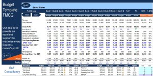 Budget Template for FMCG